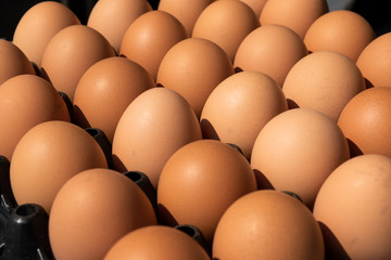 Close - up of chicken eggs in package. selective focus
