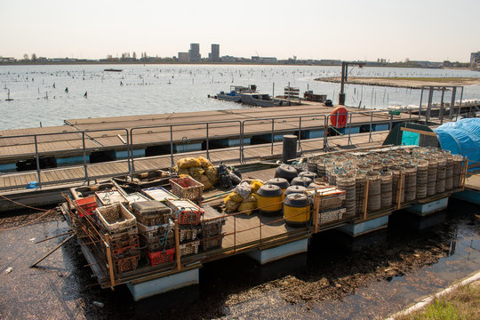 Oyster aquaculture 'de oesterput' in the old scouring basin 'de Spuikom' in Ostend, Belgium