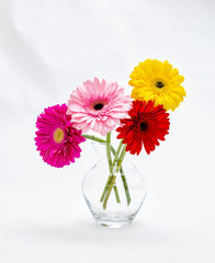 Bouquet of gerberas in a vase
