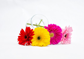 Gerberas and a vase