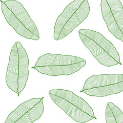 set of green leaves, green leaves isolated on white background, decoration packing, textile 