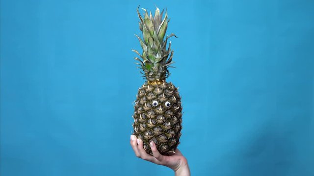 Pineapple with eyes in a woman hand. Pineapple jumps into the frame and looks around on a blue background. Woman hand close-up.