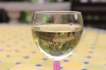 Verre de vin blanc vu en transparence