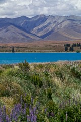 Nouvelle Z&eacute;lande