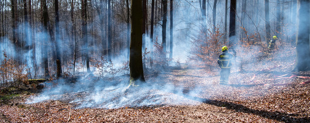 Waldbrand
