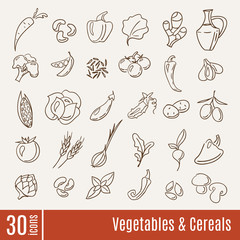 Flat icons in Vegetables and cereals infographic set.