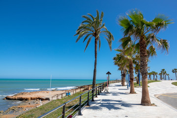 Beach walkway and palms in Cost Blanca, Spain.