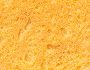 abstract macro cookie texture background