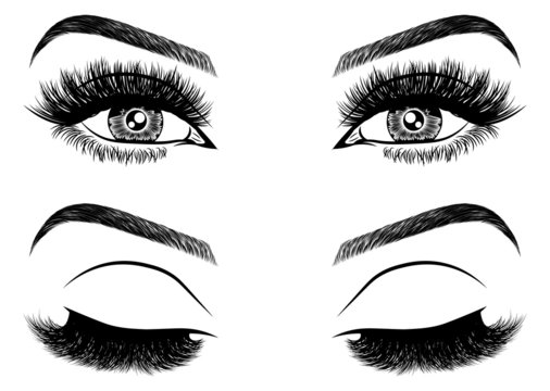 Illustration with woman's eyes, eyelashes and eyebrows. Realistic sexy makeup look. Tattoo design. Logo for brow bar or lash salon.