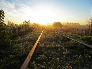 The rays of the rising sun illuminate the railway track overgrown with grass in the summer morning...