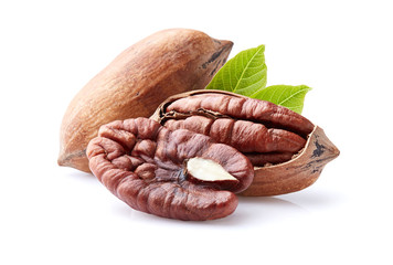 Pecan nuts with leaves on white background - Powered by Adobe