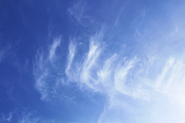 Beautiful cirrus clouds. Background. Landscape.