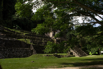 exploring the archaeological area of Palenque