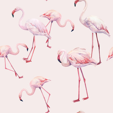 Seamless pattern of watercolor pink flamingos