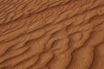 sands in a desert