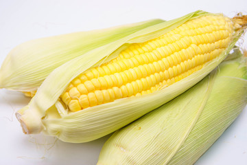 fresh sweet corn isolated white close up