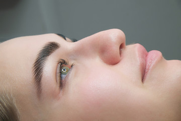Sable style eyebrows concept. Close up portrait of young sensual model with clean skin,...