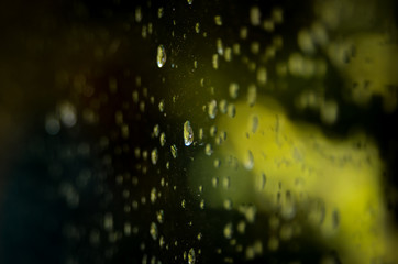 rain drops on the window