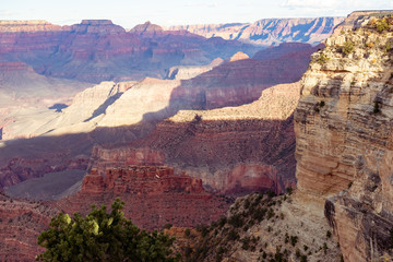Grand Canyon  - Red Rocks