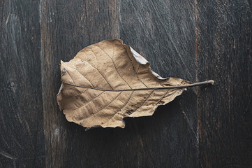 Dry autumn leaf. Dark brown natural textured background or wallpaper. Symbol: disease, wilting, old age, retired, past time. Aged effect shot.
