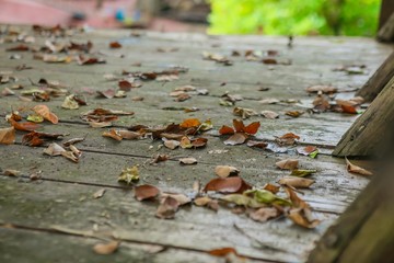 Walls made of wood ,
