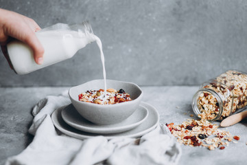 muesli with berries,granola with milk in a plate