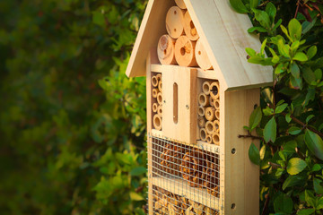 Insect hotel in a green hedge gives protection and a nesting aid to bees and other insects