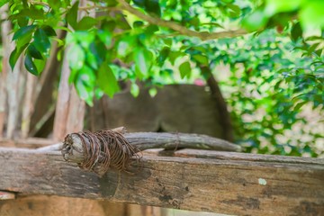 Wooden post , House post