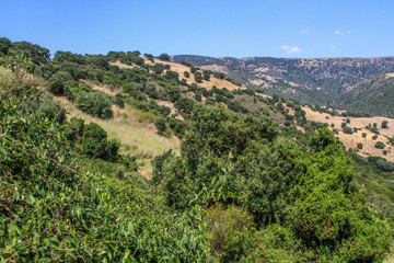 Fototapeta na wymiar Landscape of Sardinia, Italy, with typical vegetation and mountain range