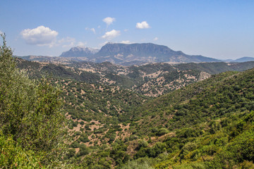 Landscape of Sardinia, Italy, with typical vegetation and mountain range