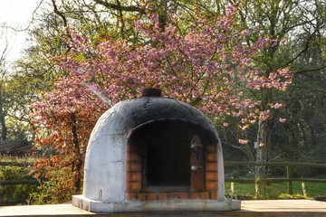 Fototapeta na wymiar pizza oven with a blooms in spring