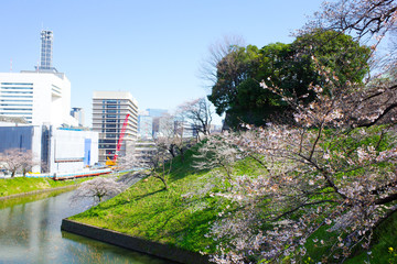 シティ, 地平線, ビル, 公園, 都市景観, 建築, ダウンタウン, 摩天楼, アーバン, ビル, 空, 緑, アパート, 風景, 摩天楼, シカゴ, 全景, 木, 景色, 旅行, 青, ビジネス, 木, タワー, 家