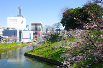 シティ, 地平線, ビル, 建築, 都市景観, 公園, アーバン, ダウンタウン, 空, 摩天楼, 川, ビル, 景色, 風景, 水, 全景, 緑, 湖, 摩天楼, ビジネス, 木, 青, 木, 橋, オフィス