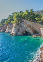 Mediterranean turquoise sea in Montenegro and a steep cliff in the rocks with pine trees greenery.