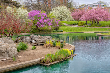 Fototapeta na wymiar Blooming Flowers and Trees in Spring in Eden Park, Cincinnati, USA