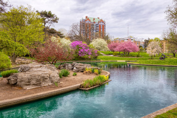Blooming Flowers and Trees in Spring in Eden Park, Cincinnati, USA - obrazy, fototapety, plakaty