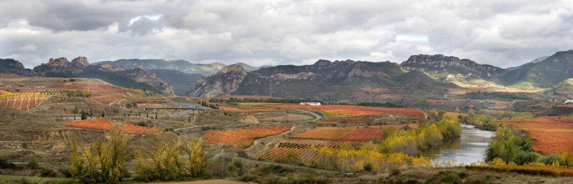 Luis Maria de Pazos salmer&oacute;n