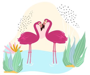 Pink flamingo stand in pond, lake, wildlife, african nature, isolated on white, flat vector illustration. Lovely big bird couple, design for wild banner, animal, tropical poultry, water reservoir.