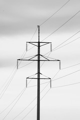 Electric transmission pylon transmits current through wires