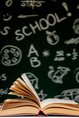 Back to school background with books, pencils and globe on white table on a green blackboard background.