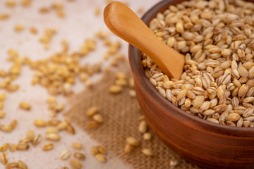 Close up of pearl barley with a spoon in a ceramic dish on a napkin and scattered on a white wooden table