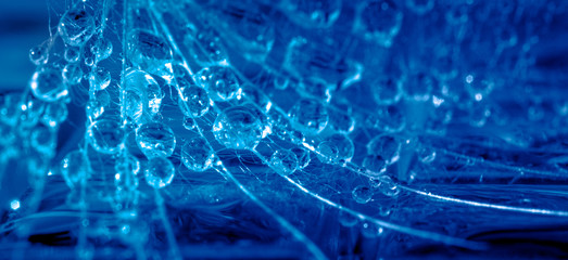 abstract dandylion seed with dew or water drops ,blue ,close up,copy space.