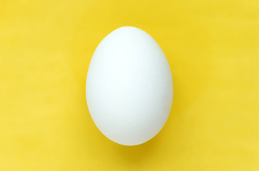 Easter egg on colorful bright yellow background