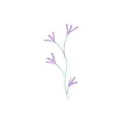 Fototapeta na wymiar Pastel flowers watercolor illustration. Aquarelle wildflower. Design for textile, wallpapers, element for design, greeting card.