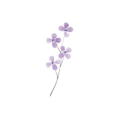 Pastel flowers watercolor illustration. Aquarelle wildflower. Design for textile, wallpapers, element for design, greeting card.