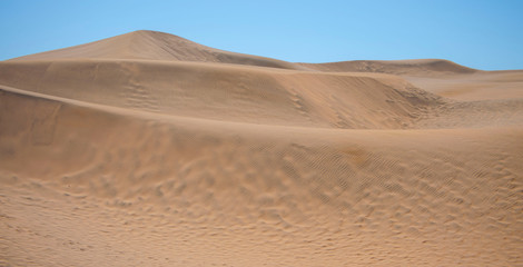 sand dunes in the sahara desert