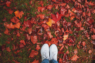 Autumn leaves in the park. Boots on the red leaves