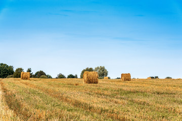 Fototapeta na wymiar A rural landscape with a beveled field and a distant Orthodox church