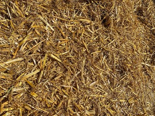 Stroh als Hintergrund, Background, Natur