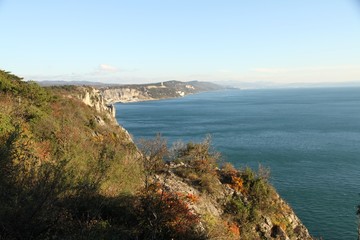 A view/landscape of the sea